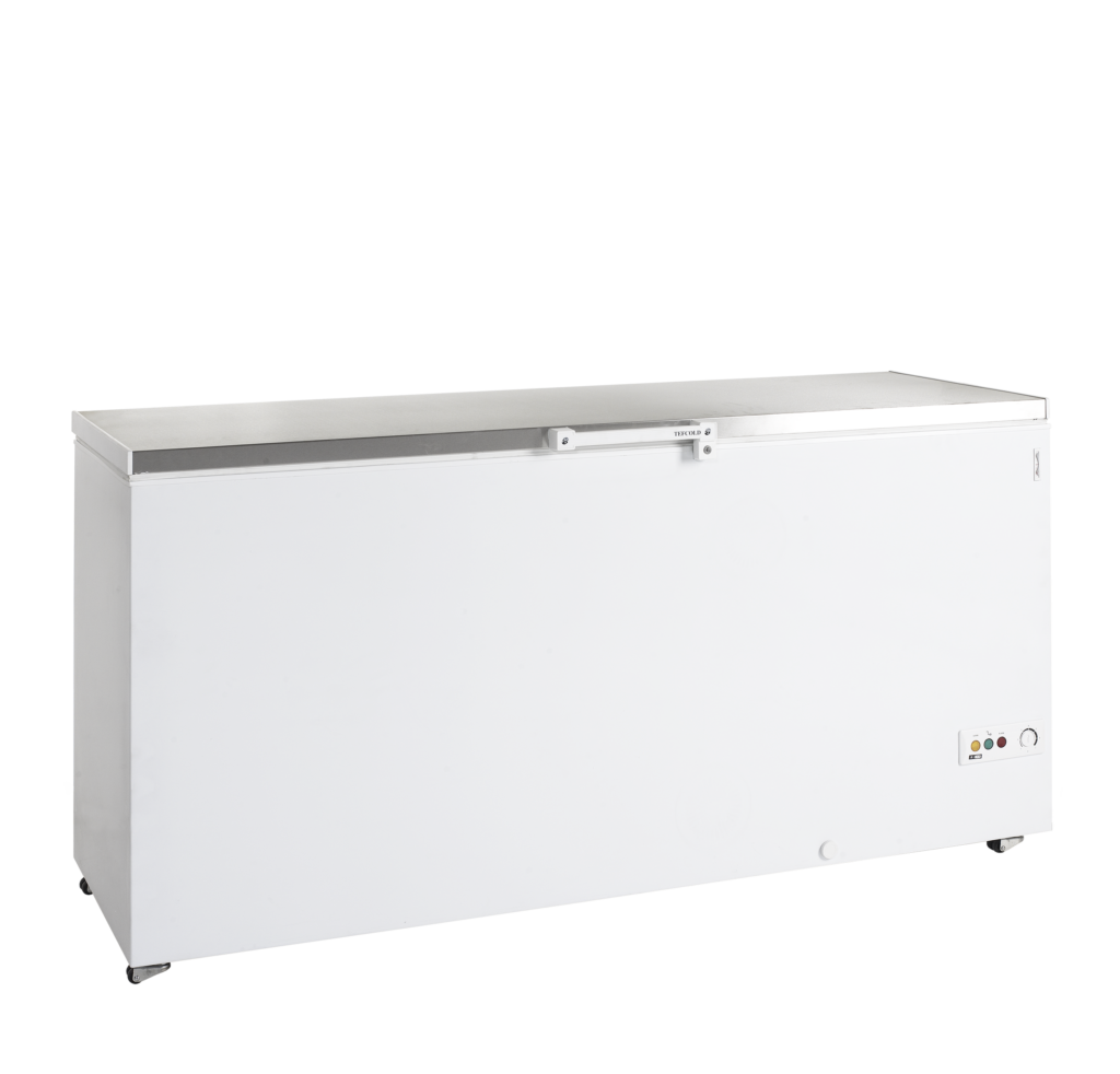 Isfryser Tefcold FR605S SL